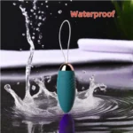 Remote Control Wearable Bullet Vibrator for Couples in UAE - Image 5